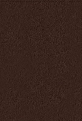 Nrsvue, Holy Bible with Apocrypha, Leathersoft, Brown, Comfort Print (Zondervan)(Imitation Leather)
