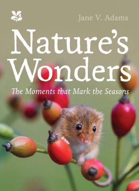 Nature's Wonders - Moments That Mark the Seasons (Adams Jane V.)(Pevná vazba)