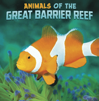 Animals of the Great Barrier Reef (Rustad Martha E. H.)(Paperback / softback)