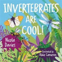 Invertebrates are Cool! (Davies Nicola)(Paperback / softback)