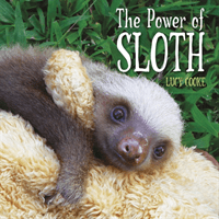Power of Sloth (Cooke Lucy)(Paperback / softback)
