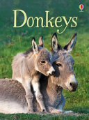Donkeys (Maclaine James)(Pevná vazba)