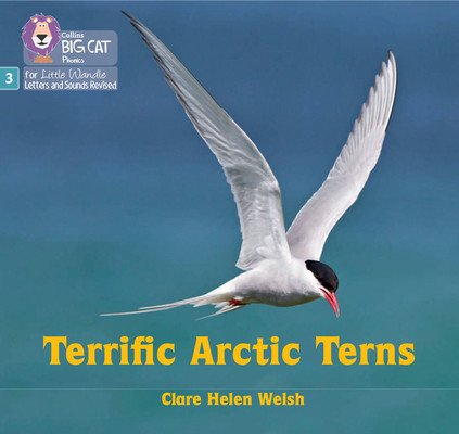 Terrific Arctic Terns - Phase 3 Set 2 (Welsh Clare Helen)(Paperback / softback)