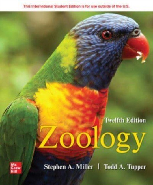 ISE Zoology (Miller Stephen)(Paperback / softback)