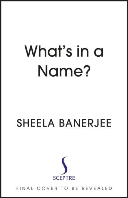 What's in a Name? - Friendship, Identity and History in Modern Multicultural Britain (Banerjee Sheela)(Pevná vazba)