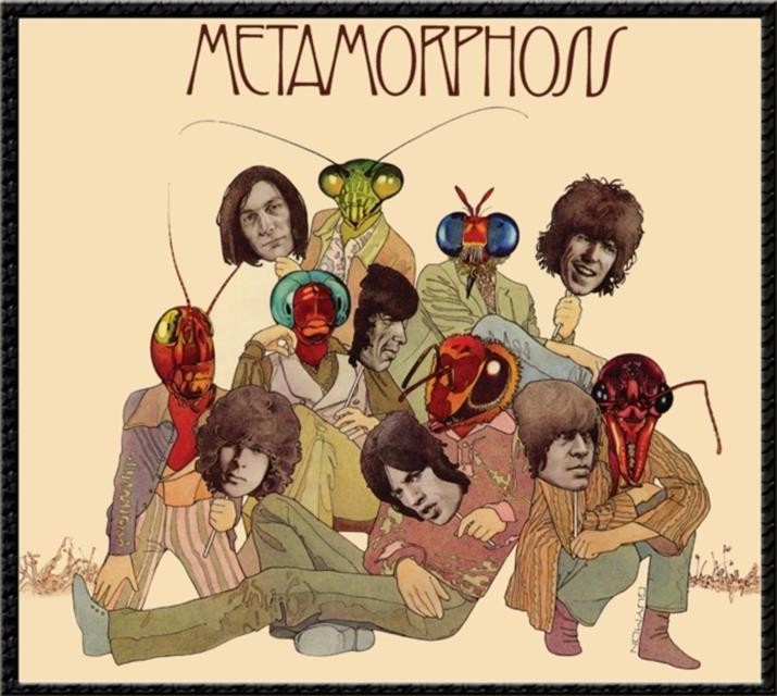 Metamorphosis (The Rolling Stones) (Vinyl / 12