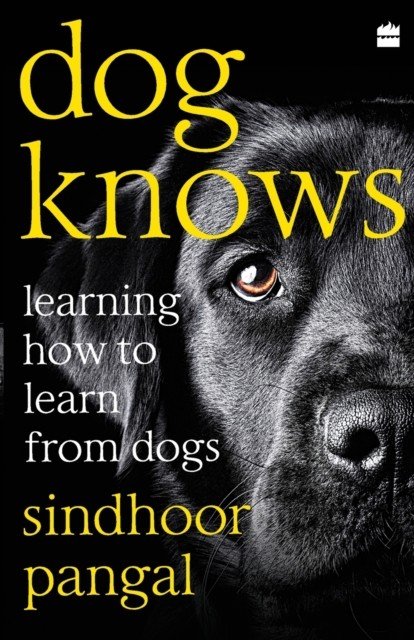 Dog Knows: Learning How to Learn from Dogs (Pangal Sindhoor)(Paperback)