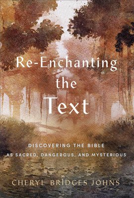 Re-Enchanting the Text: Discovering the Bible as Sacred, Dangerous, and Mysterious (Johns Cheryl Bridges)(Paperback)
