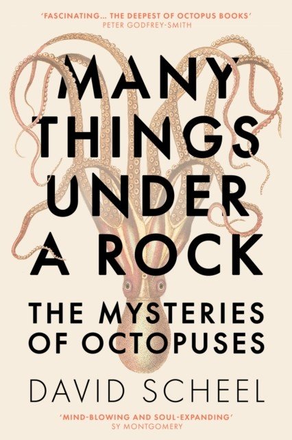 Many Things Under a Rock - The Mysteries of Octopuses (Scheel David)(Pevná vazba)