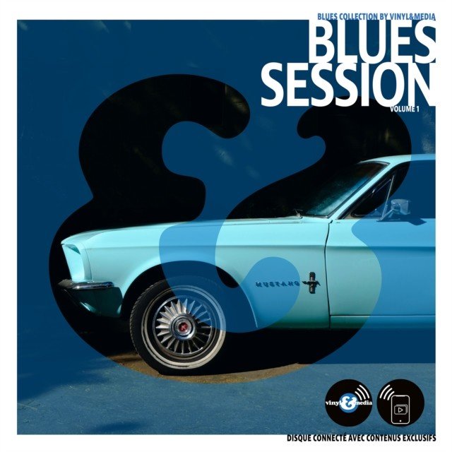 Blues Collection By Vinyl&media: Blues Session (Vinyl / 12