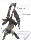 In the Company of Crows and Ravens (Marzluff John M.)(Paperback)