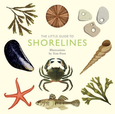 The Little Guide to Shorelines (Davies Alison)(Pevná vazba)