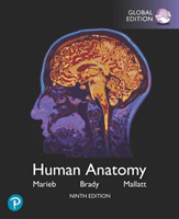 Human Anatomy, Global Edition (Marieb Elaine)(Paperback / softback)