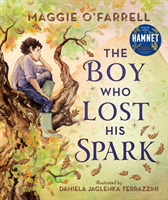 Boy Who Lost His Spark (O'Farrell Maggie)(Pevná vazba)