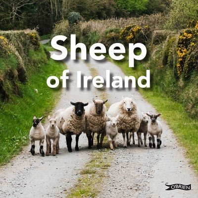 Sheep of Ireland (The O'Brien Press)(Pevná vazba)