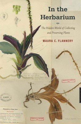 In the Herbarium: The Hidden World of Collecting and Preserving Plants (Flannery Maura C.)(Pevná vazba)