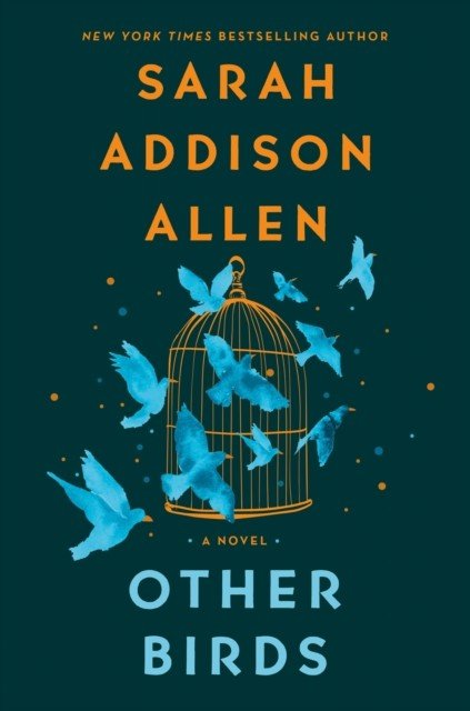 Other Birds - A Novel (Allen Sarah Addison)(Paperback)