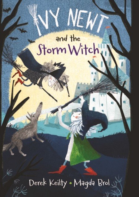 Ivy Newt and the Storm Witch (Keilty Derek)(Paperback / softback)