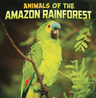 Animals of the Amazon Rainforest (Schuh Mari)(Paperback / softback)