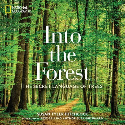 Into the Forest: The Secret Language of Trees (Hitchcock Susan)(Pevná vazba)