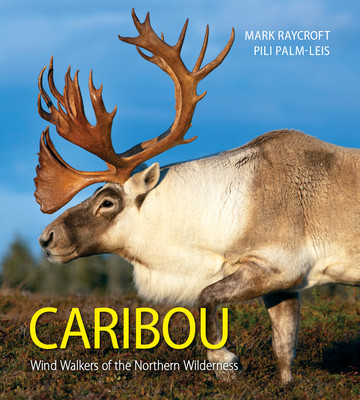 Caribou: Wind Walkers of the Northern Wilderness (Raycroft Mark)(Paperback)