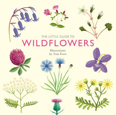The Little Guide to Wildflowers (Davies Alison)(Pevná vazba)