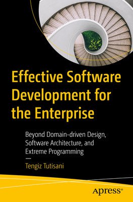 Effective Software Development for the Enterprise: Beyond Domain Driven Design, Software Architecture, and Extreme Programming (Tutisani Tengiz)(Paperback)