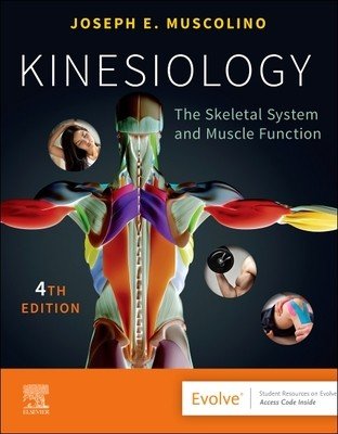 Kinesiology: The Skeletal System and Muscle Function (Muscolino Joseph E.)(Paperback)