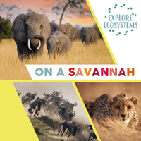 Explore Ecosystems: On a Savannah (Ridley Sarah)(Paperback / softback)