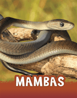 Mambas (Jaycox Jaclyn)(Paperback / softback)
