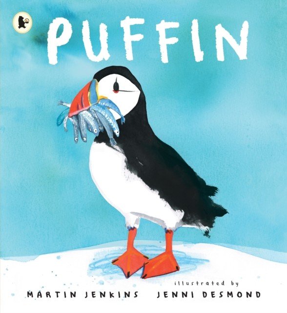 Puffin (Jenkins Martin)(Paperback / softback)