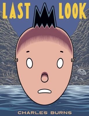 Last Look (Burns Charles)(Paperback)