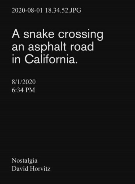 Nostalgia(Paperback / softback)