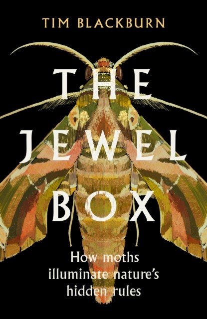 Jewel Box - How Moths Illuminate Nature's Hidden Rules (Blackburn Tim)(Pevná vazba)