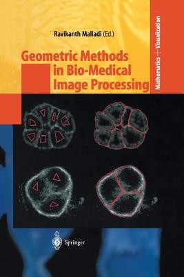 Geometric Methods in Bio-Medical Image Processing (Malladi Ravikanth)(Paperback)