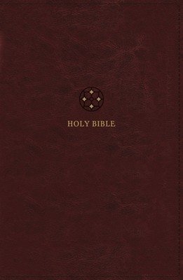 Nrsvue, Holy Bible, Leathersoft, Burgundy, Comfort Print (Zondervan)(Imitation Leather)
