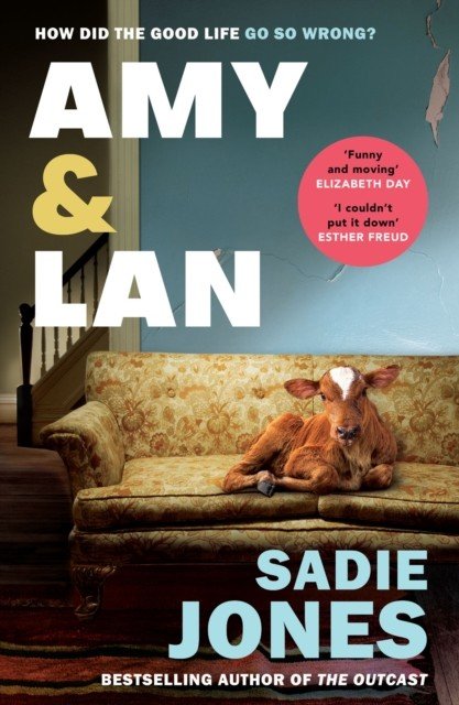 Amy and Lan - The enchanting new novel from the Sunday Times bestselling author of The Outcast (Jones Sadie)(Paperback / softback)