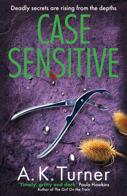 Case Sensitive - A gripping forensic mystery set in Camden (Turner A. K.)(Paperback / softback)