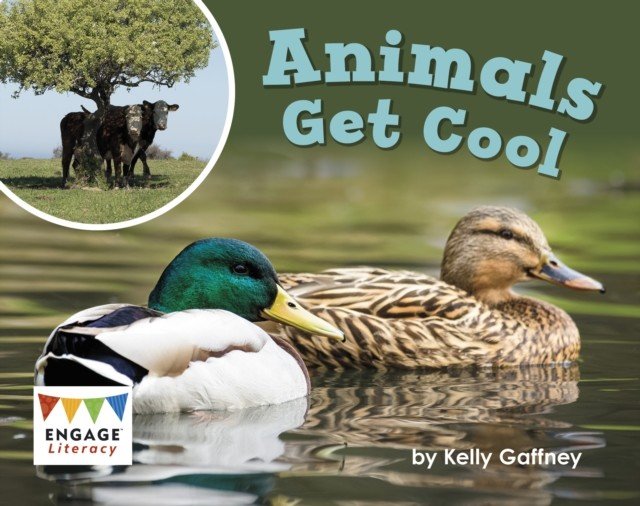 Animals Get Cool (Gaffney Kelly)(Paperback / softback)