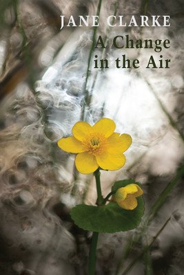 A Change in the Air (Clarke Jane)(Paperback)