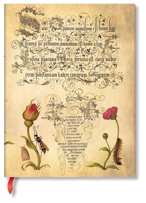 Flemish Rose (Mira Botanica) Ultra Lined Hardcover Journal (Paperblanks)(Pevná vazba)
