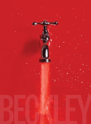 Bill Beckley and Narrative Art: The Word-Image Riddle and the Aesthetics of Beauty (Carrier David)(Pevná vazba)