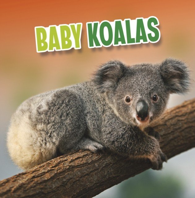 Baby Koalas (Rustad Martha E. H.)(Paperback / softback)