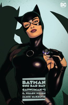 Batman: One Bad Day: Catwoman (Wilson G. Willow)(Pevná vazba)
