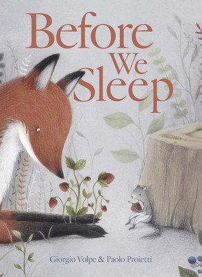 Before We Sleep (Volpe Giorgio)(Pevná vazba)