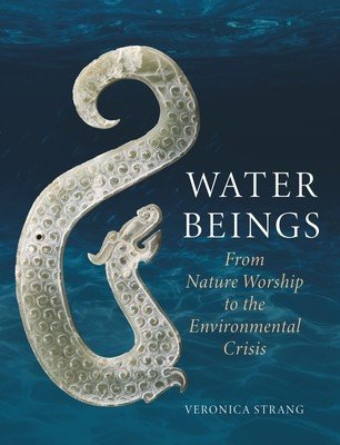 Water Beings: From Nature Worship to the Environmental Crisis (Strang Veronica)(Pevná vazba)