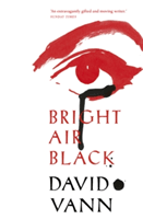 Bright Air Black (Vann David)(Paperback / softback)