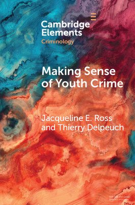 Making Sense of Youth Crime: A Comparison of Police Intelligence in the United States and France (Ross Jacqueline E.)(Paperback)