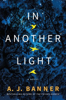 In Another Light (Banner A. J.)(Paperback)