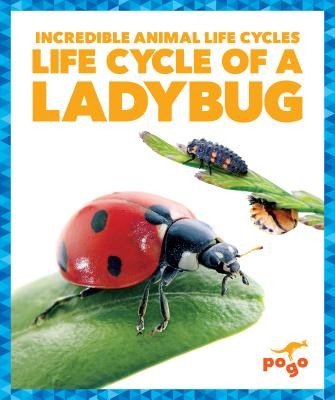 Life Cycle of a Ladybug (Latchana Kenney Karen)(Pevná vazba)